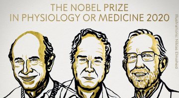 Ilustração de Niklas Elmehed para o Prêmio Nobel de Medicina 2020 - Divulgação / Twitter / NobelPrize