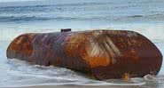 Artefato misterioso descoberto na Playalinda Beach, EUA - Divulgação/Facebook