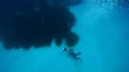 Cientistas mergulham no oceano para avistar os prados aquáticos - Divulgação/HYDRA Marine Sciences GmbH