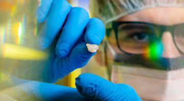 Imagem de uma pesquisadora segurando o fragmento de osso canino - Divulgação/Universidade de Buffalo