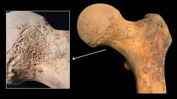 Imagens de osso analisado pelo estudo - Divulgação/ Gaia Giordano, Mirko Mattia, Michele Boracchi, et al