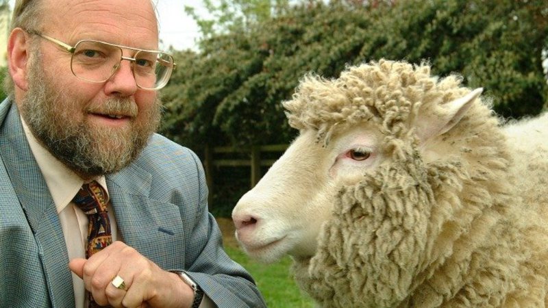 Ian Wilmut e a ovelha Dolly - Reprodução / The University of Edinburgh