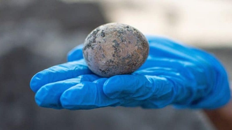 Fotografia destaca a descoberta - Gilad Shtern / Autoridade de Antiguidades de Israel