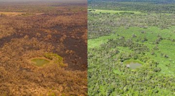 Antes e depois de região no Pantanal - Divulgação - Jeferson Prado/Sesc Pantanal