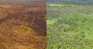 Antes e depois de região no Pantanal - Divulgação - Jeferson Prado/Sesc Pantanal
