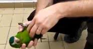 Funcionário do metrô reanimando papagaio com massagem cardíaca - Divulgação - Twitter