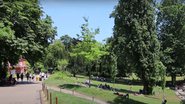Trecho de vídeo mostrando o parque onde os restos mortais foram encontrados - Divulgação/ Vídeo/ Michael Jiroch
