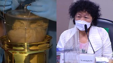 A médica Nise Yamaguchi e o coração de Dom Pedro I - Reprodução/Vídeo/Youtube