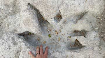 Imagem das pegadas encontradas no rio Paluxy, Texas - Reprodução/Facebook/Dinosaur Valley State Park - Friends
