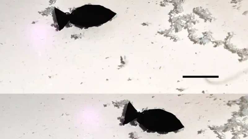 Imagens do robô se locomovendo através de água poluída - Divulgação/ Nano Letters