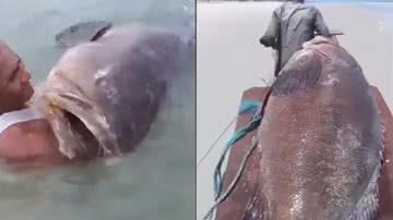 Imagens da captura do grande peixe mero de 300 kg encontrado no Pará - Reprodução/Vídeo/YouTube/@uol