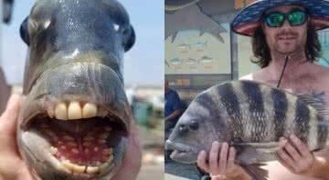 Peixe com dentes, capturado nos EUA - Divulgação/George Craig/Jennette's Pier/Facebook/