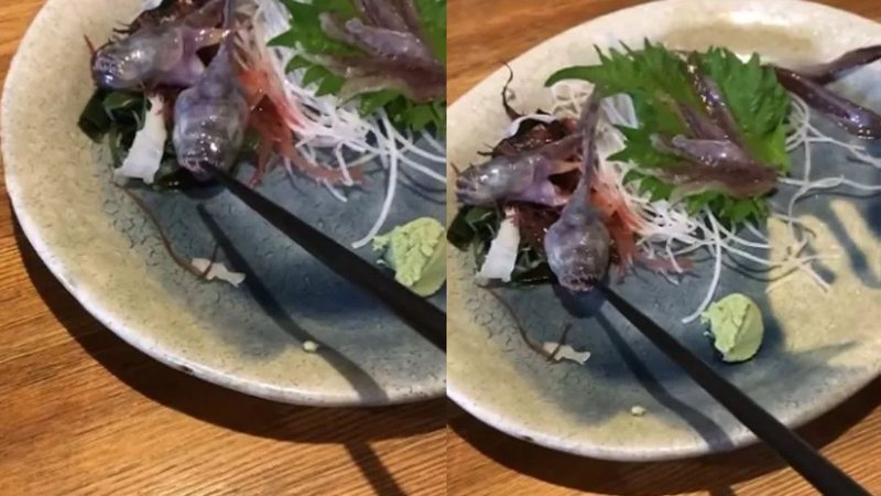 Cenas do peixe mordendo o hashi