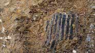 Pente de madeira da Idade do Bronze - Red River Archaeology Group