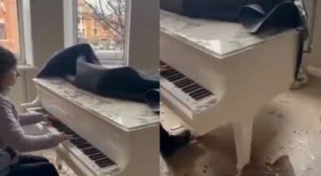 Irina Maniukina tocando piano em sua casa destruída - Divulgação/Twitter