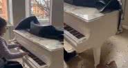 Irina Maniukina tocando piano em sua casa destruída - Divulgação/Twitter