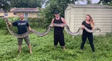 Cobra píton birmanesa capturada no estado da Flórida - Reprodução/Kev Pav/Facebook