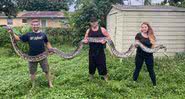 Cobra píton birmanesa capturada no estado da Flórida - Reprodução/Kev Pav/Facebook