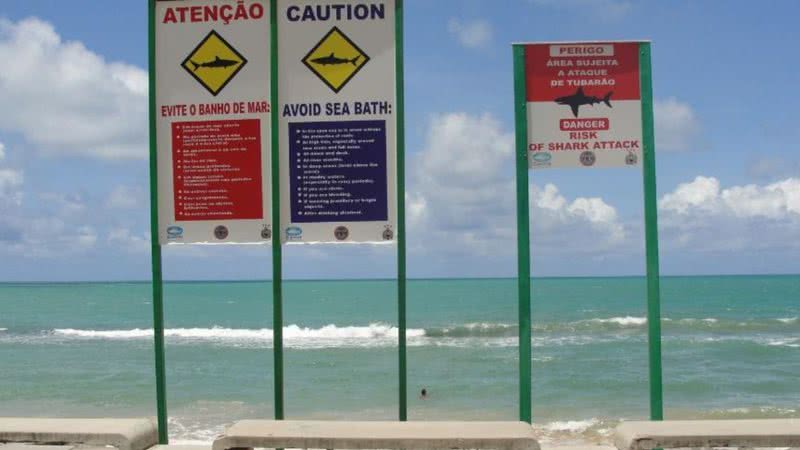 Placas alertando risco de ataques de tubarão na orla de praia em Olinda (PE) - Divulgação/Prefeitura de Olinda