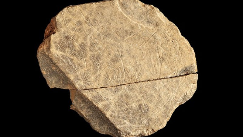 A placa mais completa da Idade da Pedra, encontrada no sítio de Jersey - Natural History Museum