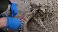 Restos mortais encontrados em Pompeia - Reprodução/Video