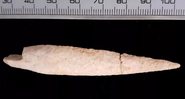Ponta de flecha encontrada em Israel - Divulgação/Projeto Arqueológico Tell es-Safi / Gath