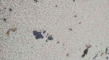 Registro mostra manchas na praia - SEMA/Governo do Estado do Ceará