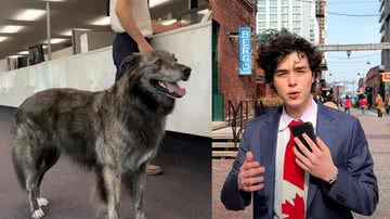 Montagem mostrando dois dos mais curiosos candidatos à prefeitura de Toronto - Divulgação/YouTube