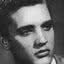 Elvis Presley, o Rei do Rock