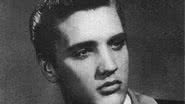 Elvis Presley, o Rei do Rock - Domínio Público via Wikimedia Commons