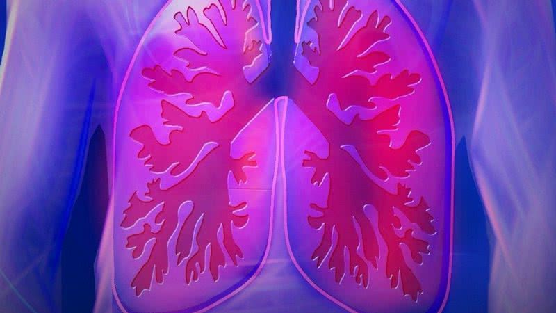 Imagem ilustrativa de pulmão - Divulgação/Pixabay