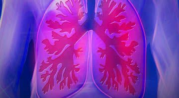Imagem ilustrativa de pulmão - Divulgação/Pixabay