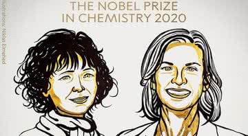 Ilustração de Niklas Elmehed para o Prêmio Nobel de Química 2020 - Divulgação / Twitter / NobelPrize
