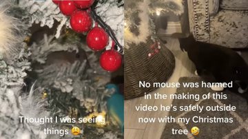 Rato escondido em árvore de natal - Reprodução / Redes Sociais / TikTok