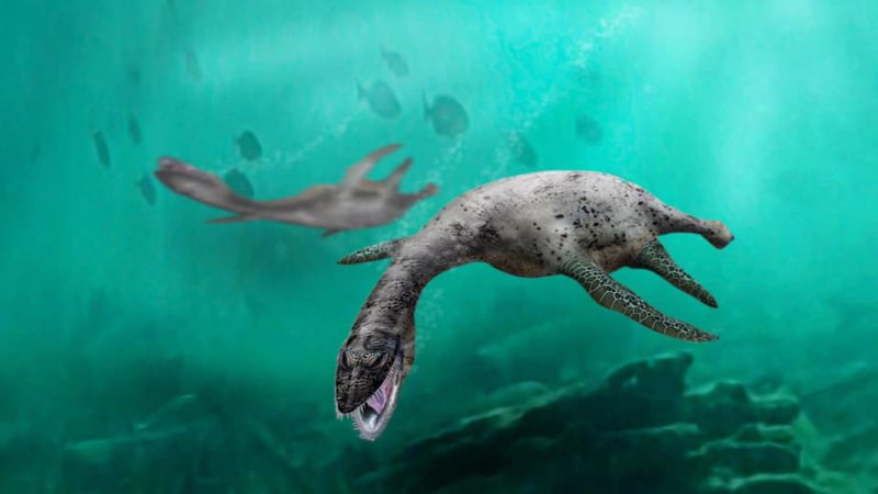 Foto reprodução do Vinialesaurus - Divulgação / Facebook Registro fósil y evolución de vertebrados - Chile