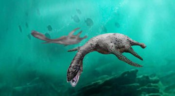 Foto reprodução do Vinialesaurus - Divulgação / Facebook Registro fósil y evolución de vertebrados - Chile