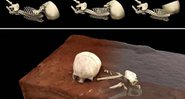 Reconstituição de como os ossos foram encontrados - Divulgação/ María Martinón-Torres et.al