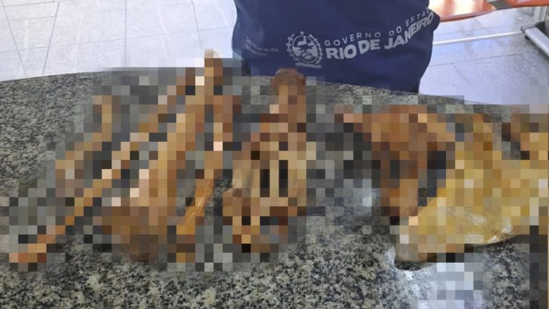 Imagem dos ossos que foram encontrados com o homem que foi preso - Divulgação/Segurança Presente