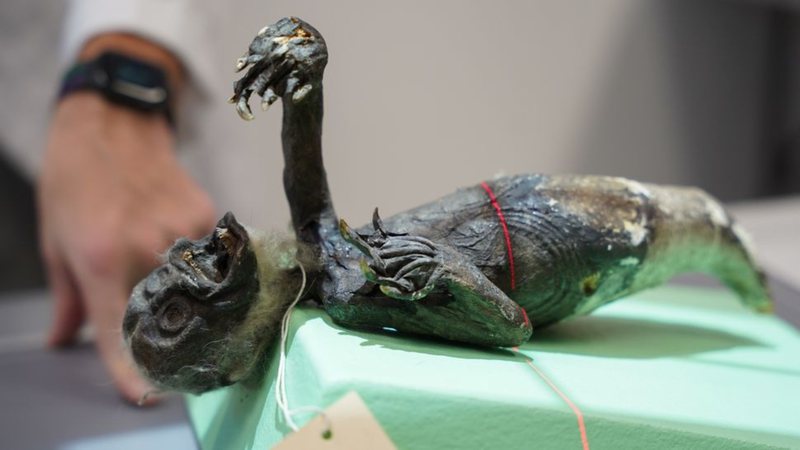 "Múmia sereia" descoberta no Japão - Reprodução / Projeto Sereia de Fiji