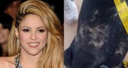Montagem de Shakira ao lado de sua mochila, após ataque de javalis - Getty Images / Divulgação/Instagram/@shakira
