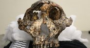 Esqueleto milenar encontrado - Divulgação/Universidade La Trobe