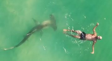 Imagem do tubarão cercando o banhista - Divulgação/Jason McIntosh