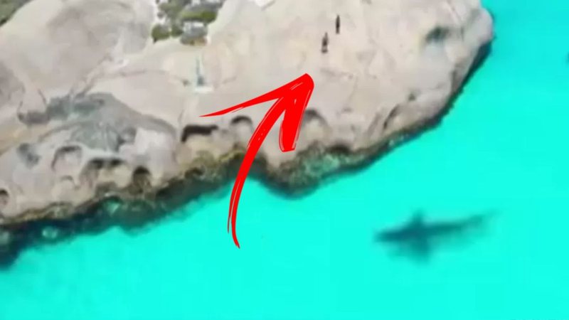 Tubarão rodando banhistas