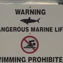 Placa informa perigo de tubarões em praia dos EUA - Divulgação/ABC TV