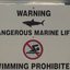 Placa informa perigo de tubarões em praia dos EUA