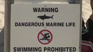 Placa informa perigo de tubarões em praia dos EUA - Divulgação/ABC TV