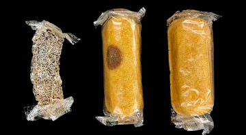 Fotografia dos três bolinhos analisados pelos cientistas - Divulgação/Matt Kasson