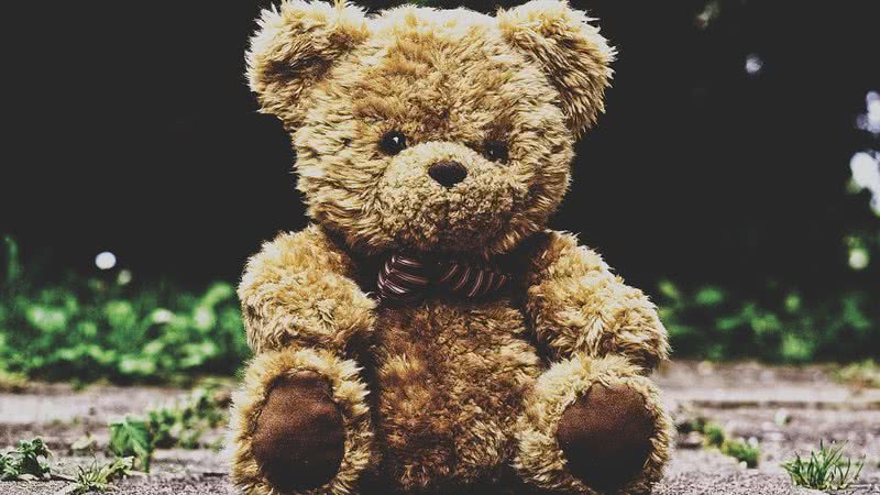 Imagem ilustrativa de urso de pelúcia - Foto de Alexas_Fotos, via Pixabay