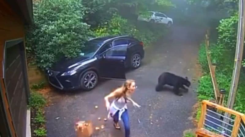 Mulher se depara do urso em seu carro - Divulgação/Twitter/@ijayt205