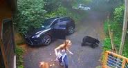 Mulher se depara do urso em seu carro - Divulgação/Twitter/@ijayt205